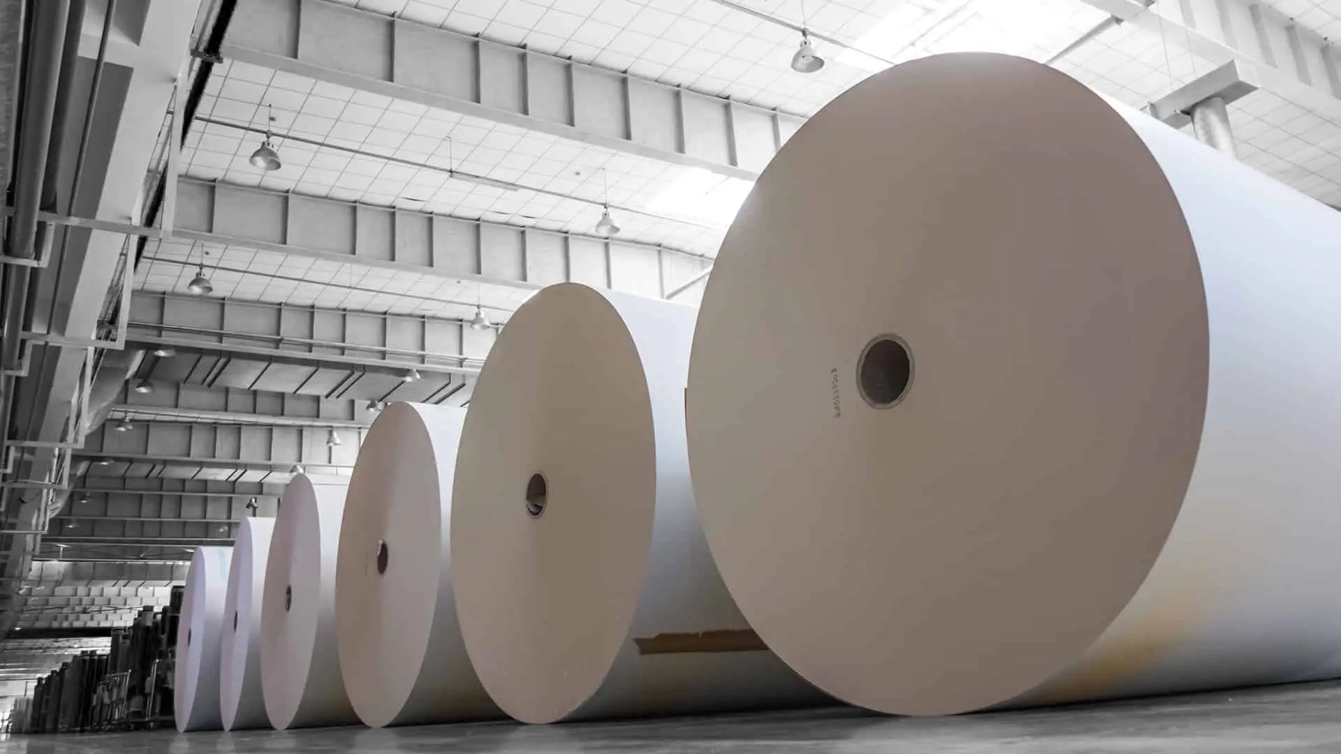 Big white paper rolls placed on the floor
